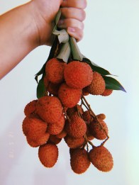2018-12-05 11:09:36.317